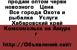 продам оптом черви новозного › Цена ­ 600 - Все города Охота и рыбалка » Услуги   . Хабаровский край,Комсомольск-на-Амуре г.